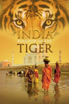 India: Kingdom of the Tiger movie review & film summary (2002)